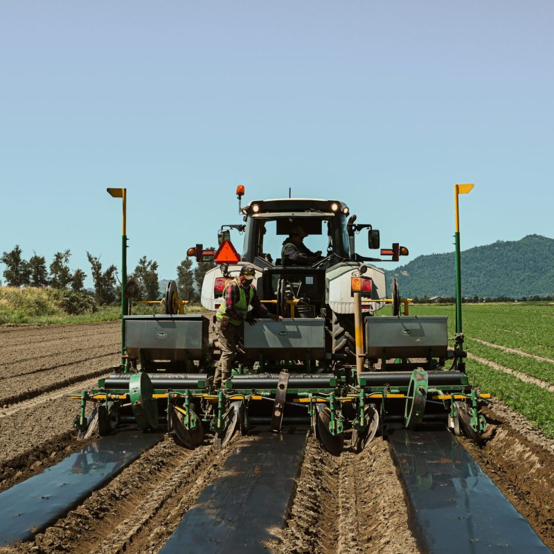 BumiGro biodegradable mulch film being installed on agricultural fields to improve soil health, support sustainable farming, and eliminate microplastic waste.